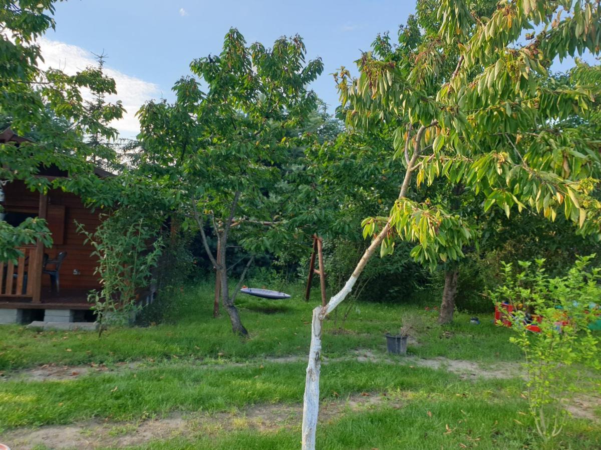 Hotel Domek letniskowy w zieleni blisko jeziora średzkiego Środa Wielkopolska Zewnętrze zdjęcie